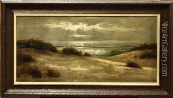 Moonlight On The Dunes And Sea Oil Painting - Nels Hagerup