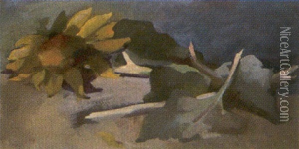 Sonnenblume Oil Painting - Max Dungert
