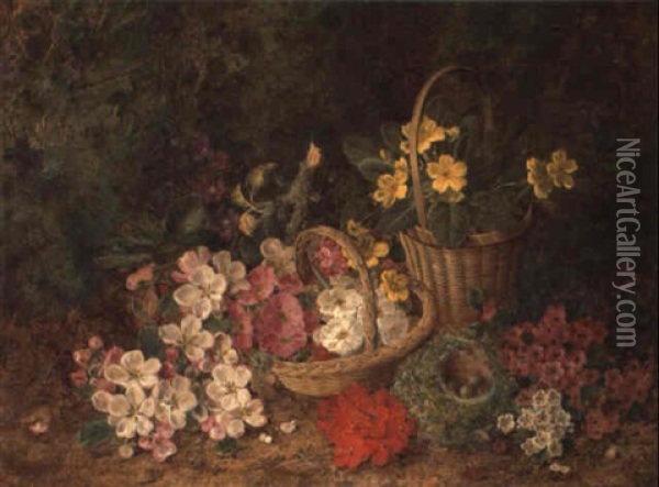 A Still Life Of Violets, Apple Blossom, Geraniums, Bird's Nest, Primroses, Etc. Oil Painting - George Clare