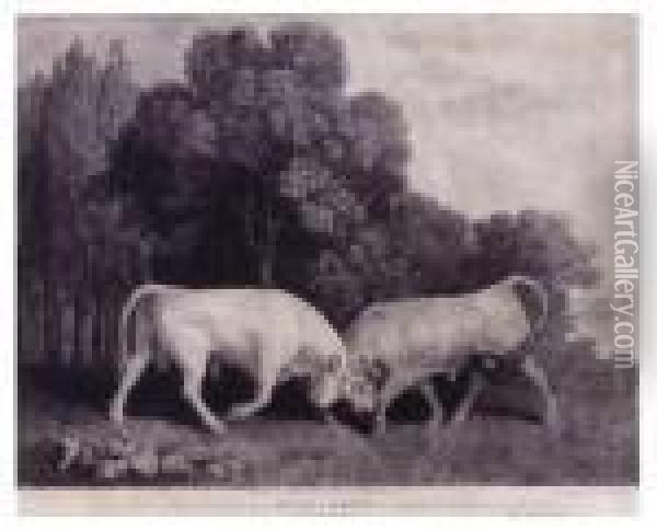 Bulls Fighting Oil Painting - George Stubbs