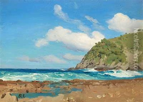 Parti Fra Hams Bluff Pa St. Croix Oil Painting - Andreas Christian Riis Carstensen