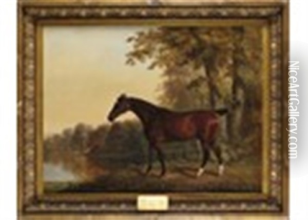 A Dark Bay Hunter In A Wooded Lake Landscape, Painted For A Member Of The Peyton Family Oil Painting - George Stubbs