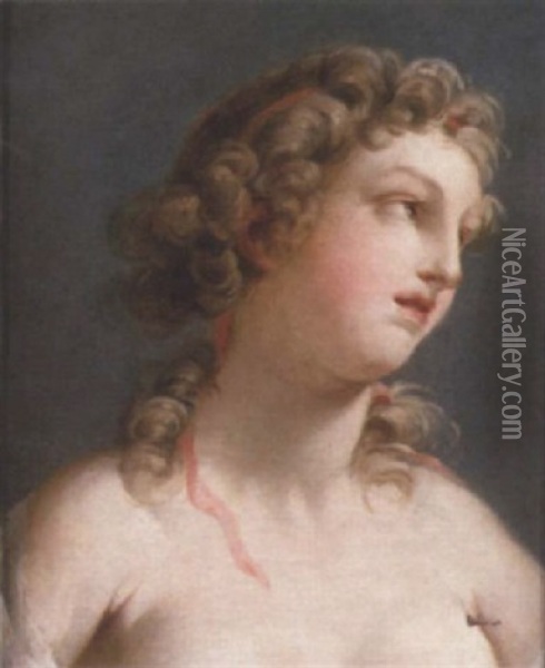 A Woman, Head And Shoulders Oil Painting - Jean Baptiste Marie Pierre