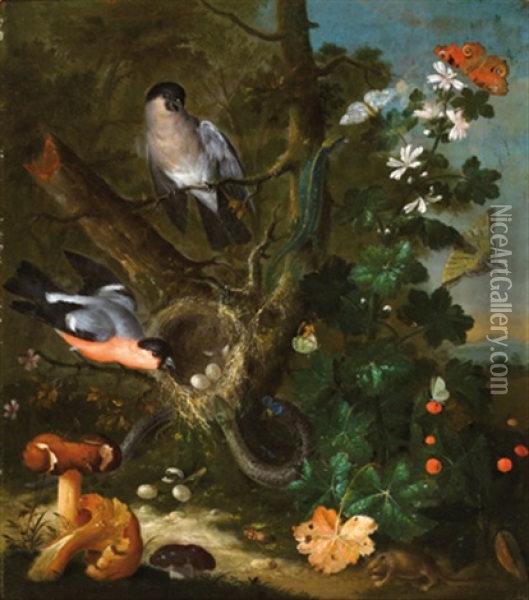 Stillleben Mit Vogeln Und Pilzen Oil Painting - Johann Baptist Halszel