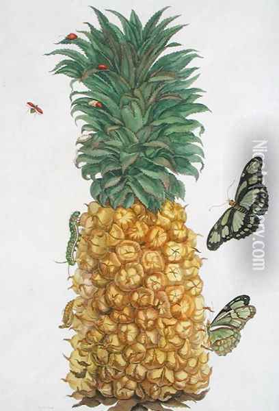 Pineapple with caterpillar and butterflies Oil Painting - Pieter Sluiter or Sluyter