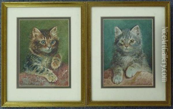 Tabby Kittens 
 A Pair Oil Painting - Wilson Hepple