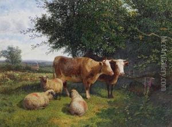 Cattle And Sheep In Summer Pastures Oil Painting - George Shalders