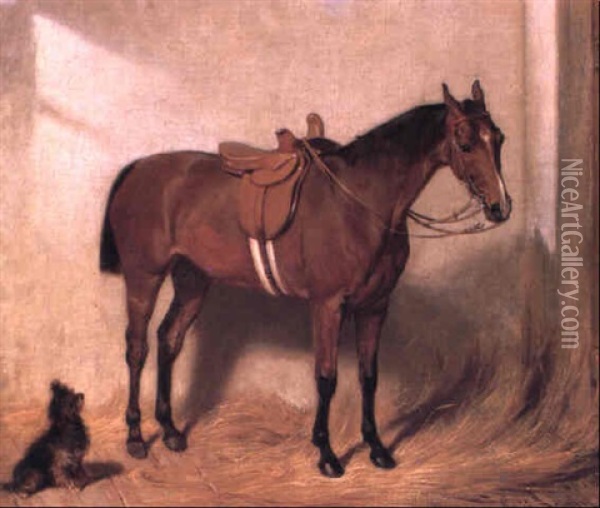 Lady's Bay Hunter In A Stable Interior Oil Painting - Emil Adam