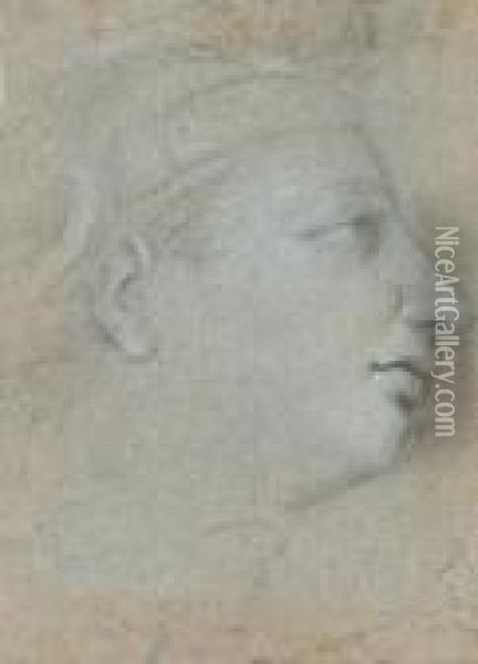 A Study Of A Young Woman In Profile Oil Painting - Charles Lebrun