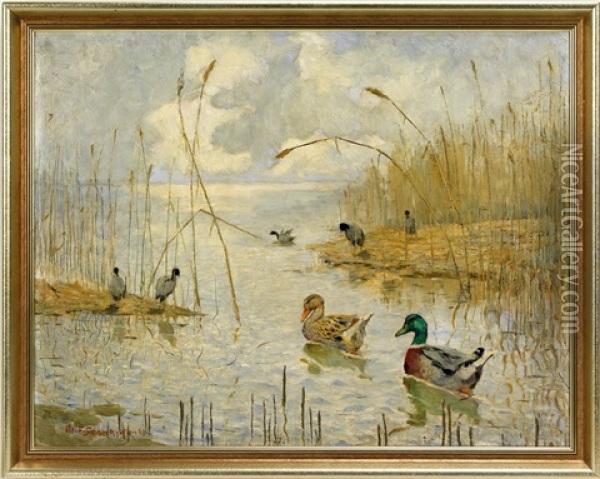 Seelandschaft Mit Wasservogel Oil Painting - Ferdinand Schebek