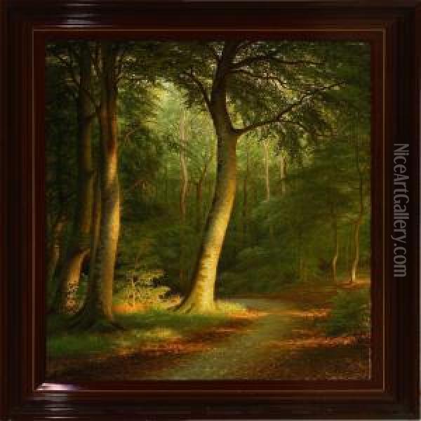 Late Afternoon In The Forest Oil Painting - Andreas Fritz