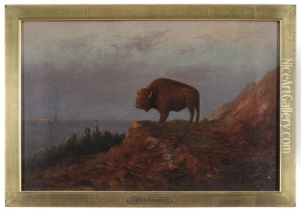 Plains Buffalo Oil Painting - Astley David Middleton Cooper