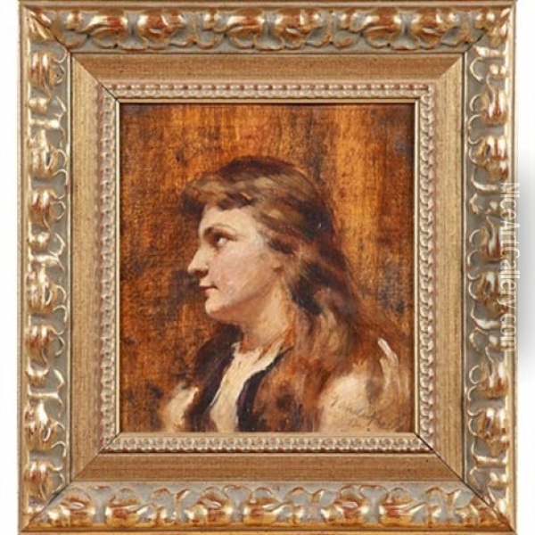Untitled (portrait Of A Woman), 1892 Oil Painting - John H. Vanderpoel