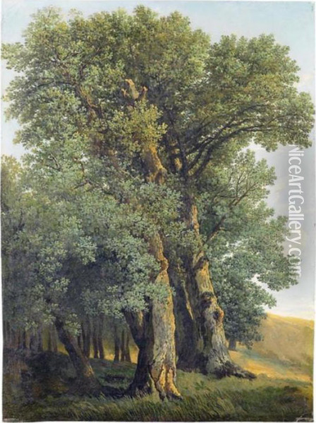 Study Of Trees In A Landscape Oil Painting - Johann Christian Reinhart