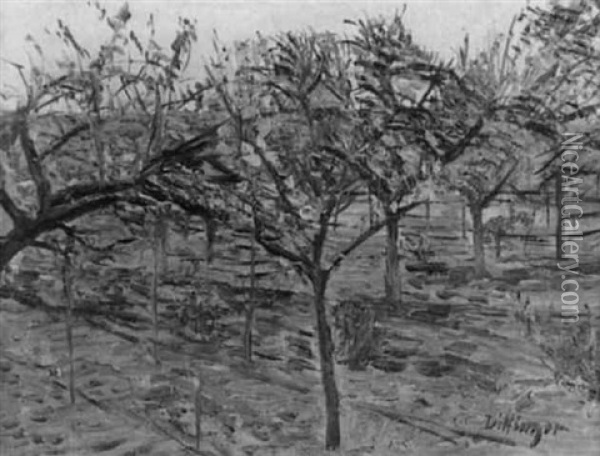 Obstbaume Im Garten Oil Painting - Karl Dillinger
