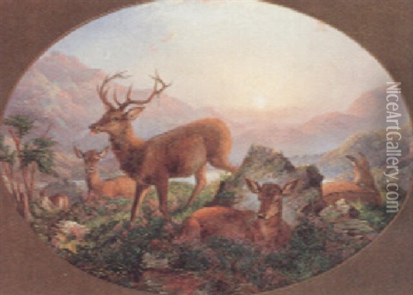 Hirsch Mit Rottier Und Kalbern An Einem See Oil Painting - James Trout Walton