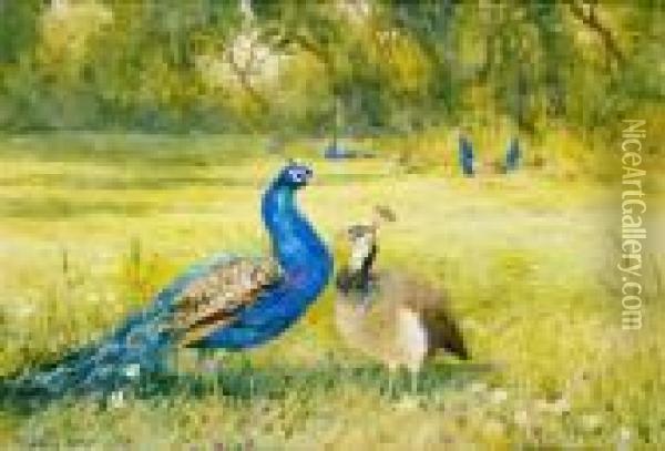 Peacocks At Kilmurry Oil Painting - Mildred Anne Butler