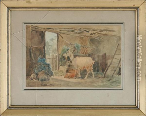 Rabbits And Goats In A Shed Oil Painting - Wilhelm Zillen