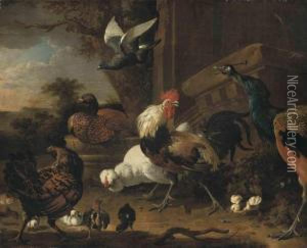 A Cockerel, A Peacock, Hens, Chicks And A Pigeon By A Wall, In Apark Landscape Oil Painting - Melchior de Hondecoeter