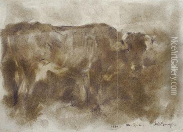 Toro Oil Painting - Silvio Bicchi
