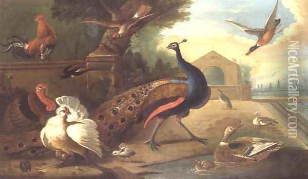 A Peacock, cockerel, turkey and other birds Oil Painting - Marmaduke Craddock