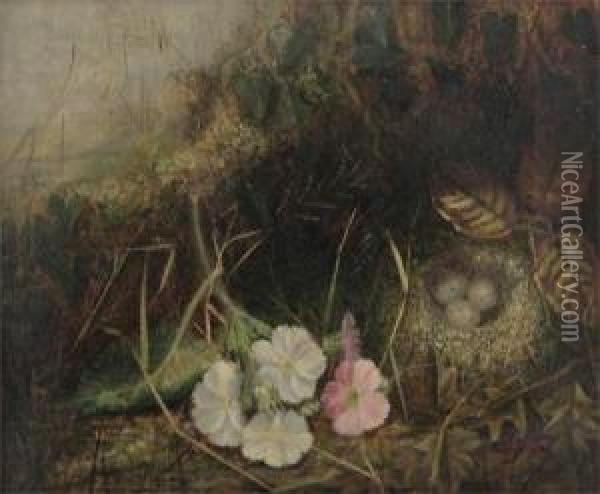 Roses Amongst Foliage; Primroses And A Birds Nest In Amongst Foliage Oil Painting - Joseph Such
