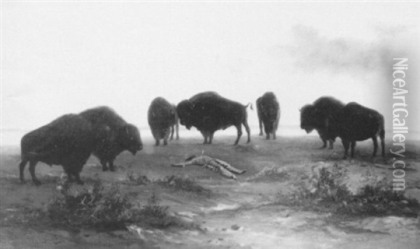 Buffalos And Dead Indian Montague Oil Painting - Astley David Middleton Cooper