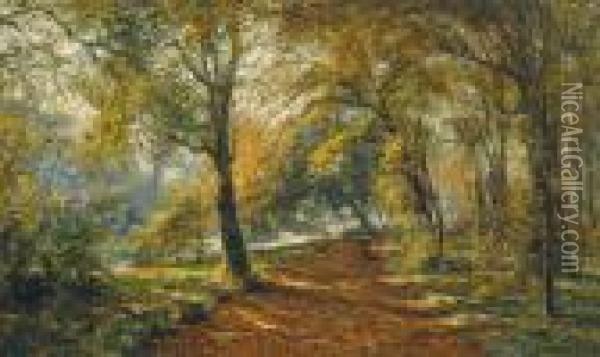 View Of A Park Withwoman Gathering Dead Wood Oil Painting - Frans Courtens