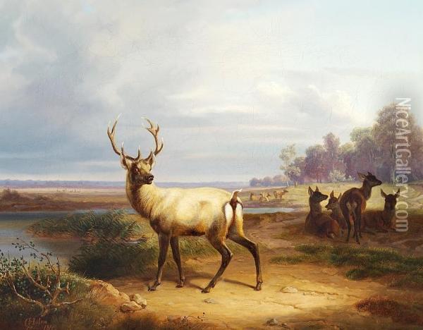 A Stag With Hinds Oil Painting - Christian Frederik Holm
