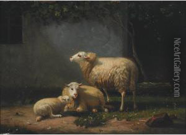 Sheep In A Farmyard; Sheep In A Pasture Oil Painting - Auguste Bonheur
