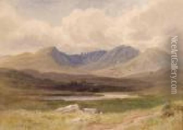 Boglands Oil Painting - Joseph Carey Carey