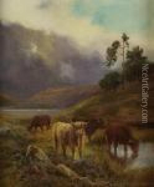 Highland Cattle Watering Oil Painting - Daniel Sherrin