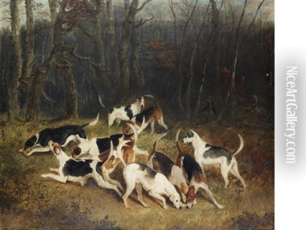 Hounds In A Covert Oil Painting - Edward Walter Webb