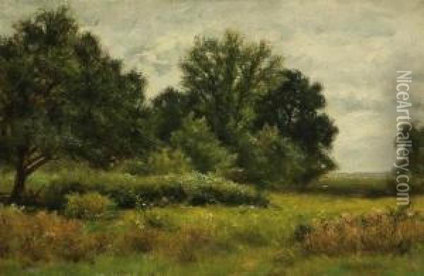 Summer Meadow Oil Painting - Albert B. Insley