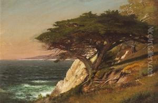Cypress Tree, Carmel Bay Oil Painting - Raymond Dabb Yelland