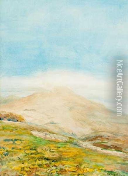 Annalong, County Down Oil Painting - Elizabeth Corbet-Yeats