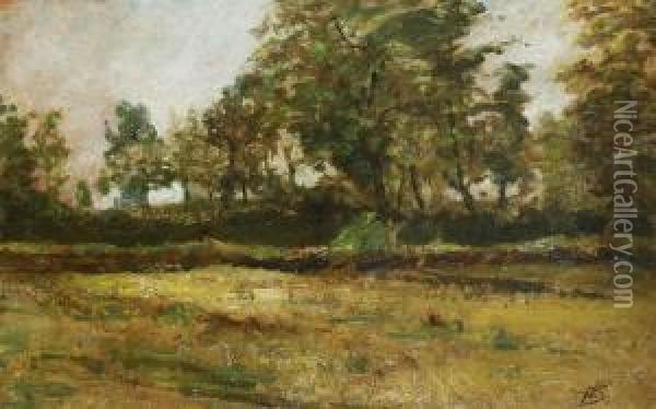 Tree Landscape Oil Painting - Hippolyte Boulenger
