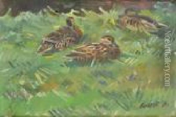 Ducks Oil Painting - Stanislav Lolek