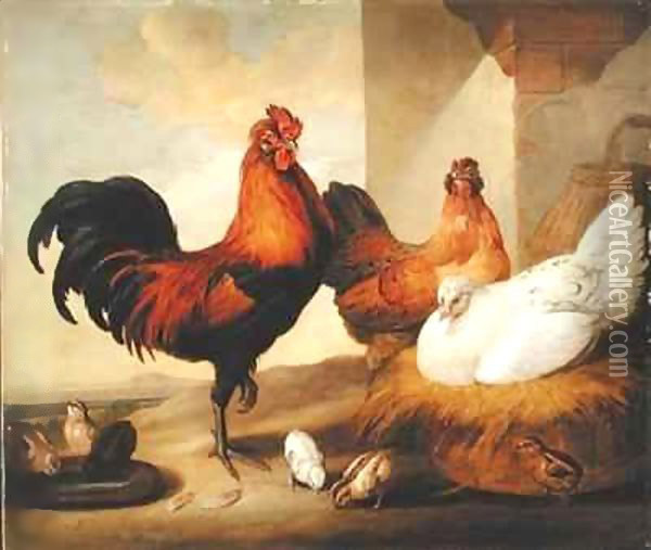 Domestic Cock, Hens and Chicks Oil Painting - Francis Barlow