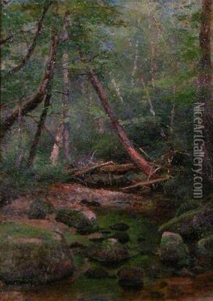 Shaded Woodland Stream Oil Painting - Herman Herzog