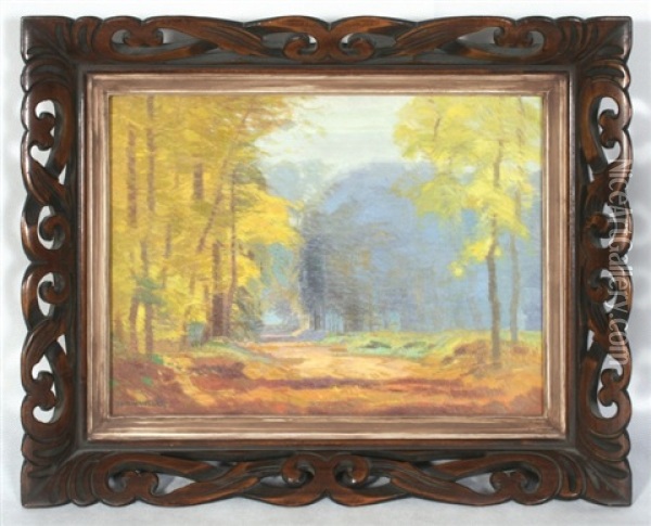 Podzimni Krajina Oil Painting - Roman Havelka