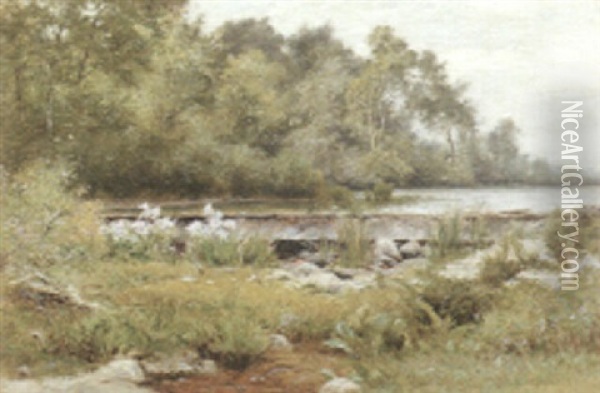 By The Pond In Summer Oil Painting - Albert Babb Insley