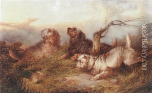 Terriers Hunting Oil Painting - Paul Jones
