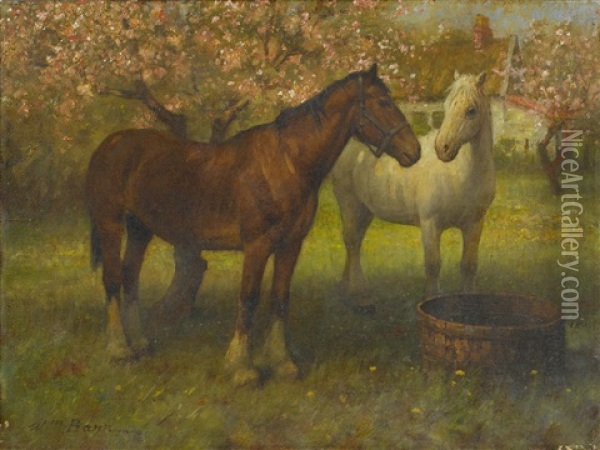Horses At Foxbar Oil Painting - William Barr