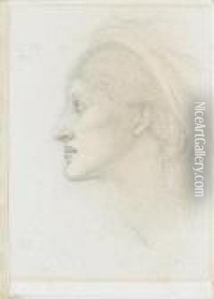 Study Of The Head Of A Model From The Perseus Series Oil Painting - Sir Edward Coley Burne-Jones