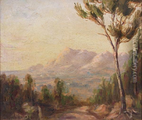 Morning. From Wymberg Hill Towardsmuizenberg Oil Painting - Edward C. Churchill Mace