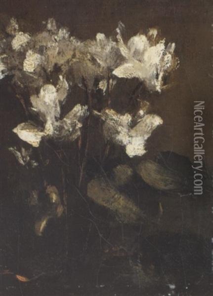 Fleurs, Cyclamens Oil Painting - Henri Fantin-Latour