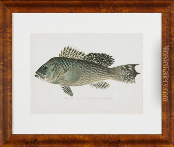 Fish Including Oil Painting - Sherman Foote Denton
