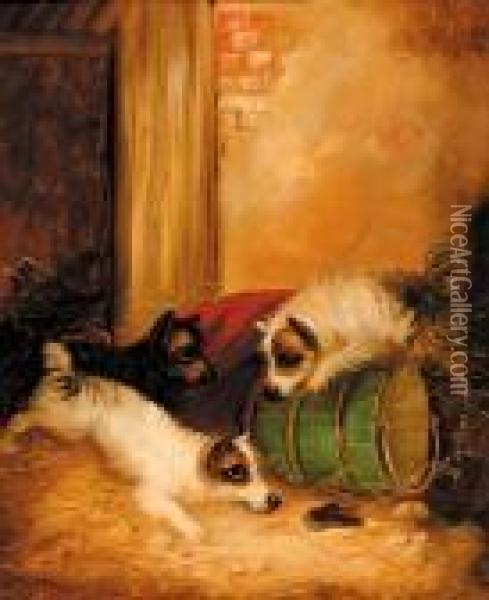 Terriers Ratting In Oil Painting - George Armfield