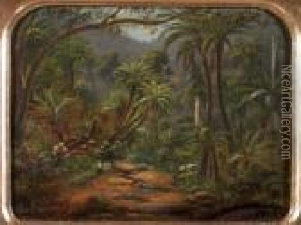 Fern Tree Gully In The Dandenong Ranges Oil Painting - Eugene von Guerard